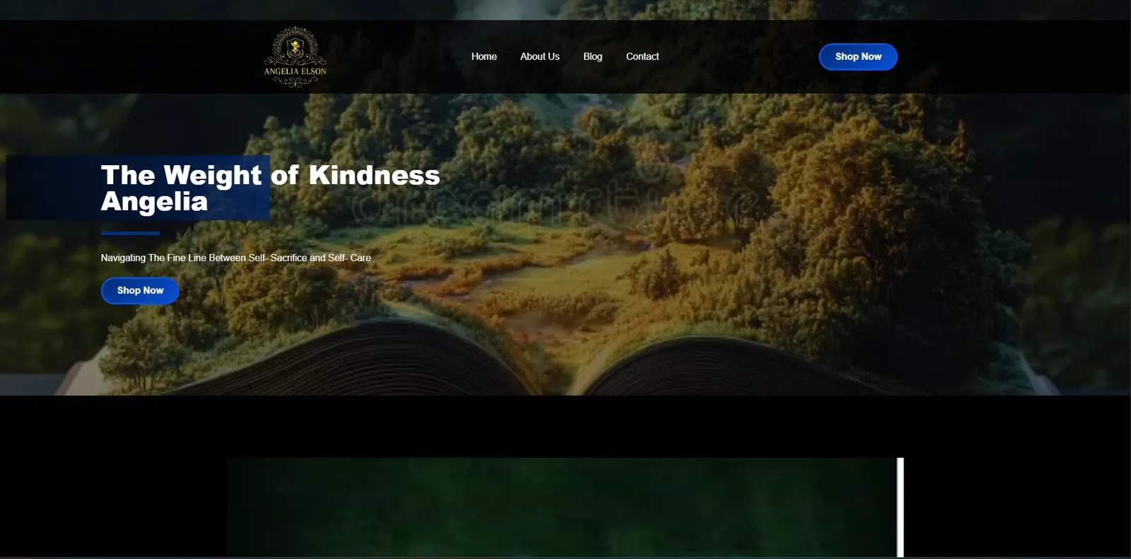 Homepage of the Angelia Elson website designed by Sofverse