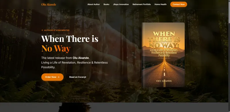 Olu Akande website designed by Sofverse